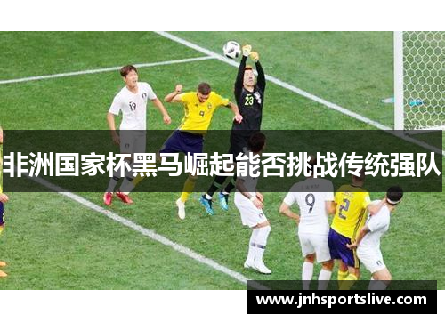 非洲国家杯黑马崛起能否挑战传统强队